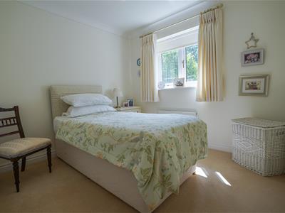 Picture 20